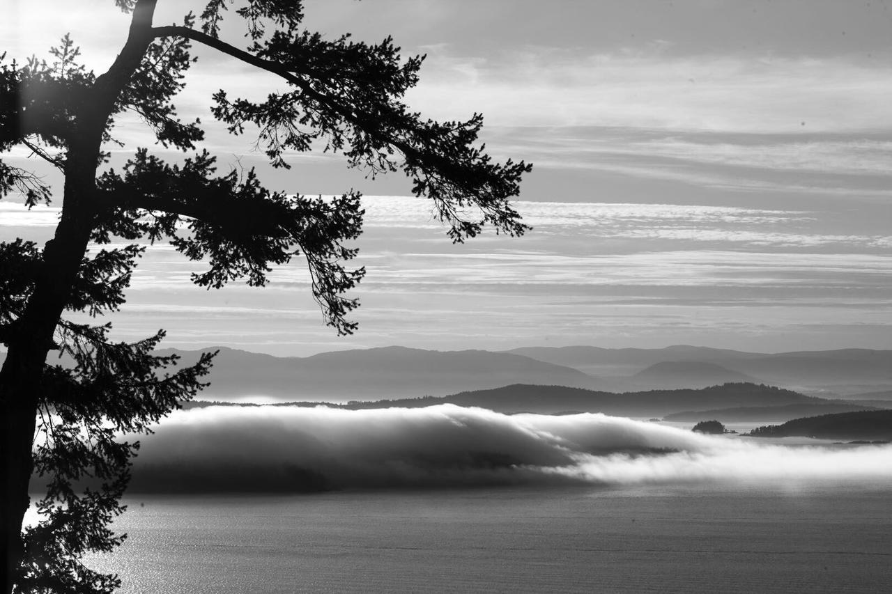 Shangri-La Oceanfront Vacation Home Bedwell Harbour Buitenkant foto